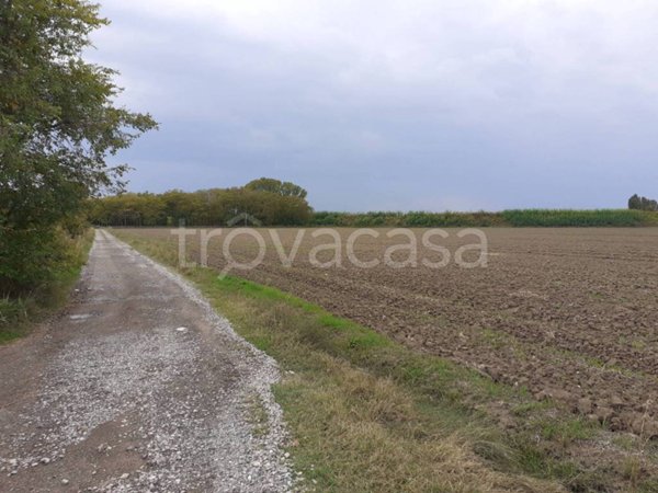 terreno agricolo in vendita a Calderara di Reno in zona Sacerno