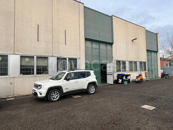 appartamento in vendita a Calderara di Reno in zona Lippo