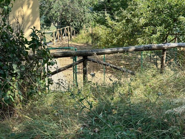 appartamento in vendita a Camugnano in zona Trasserra