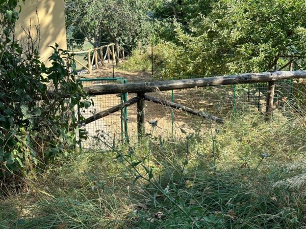 casa indipendente in vendita a Camugnano in zona Trasserra