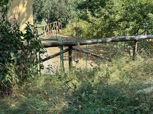 casa indipendente in vendita a Camugnano in zona Trasserra
