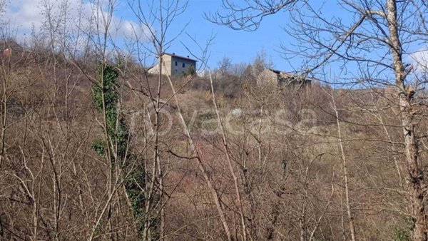 casa indipendente in vendita a Camugnano in zona Mogne