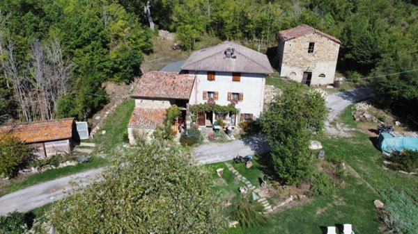 esavano in vendita a Camugnano