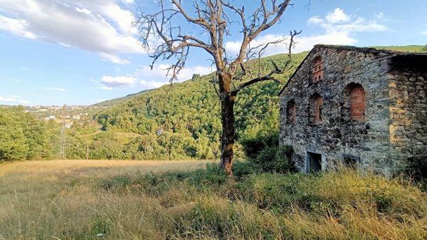 casa indipendente in vendita a Camugnano in zona Mogne