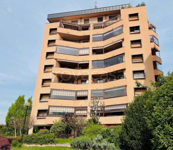 immagine annuncio 0 di 15