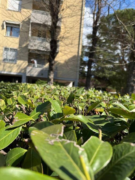 appartamento in vendita a Casalecchio di Reno in zona San Biagio