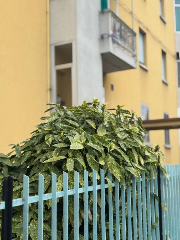 appartamento in vendita a Casalecchio di Reno