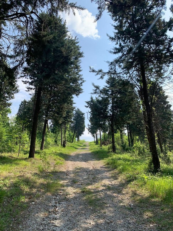 esavano in vendita a Casalecchio di Reno