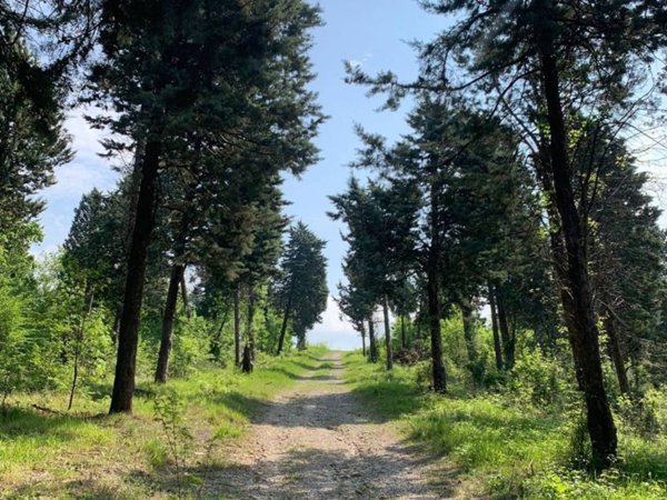 casa indipendente in vendita a Casalecchio di Reno in zona Ceretolo