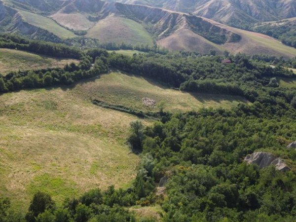 terreno agricolo in vendita a Casalfiumanese