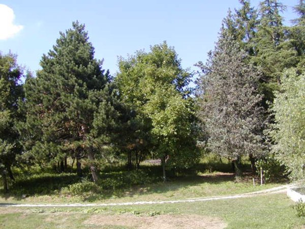 terreno edificabile in vendita a Castel d'Aiano