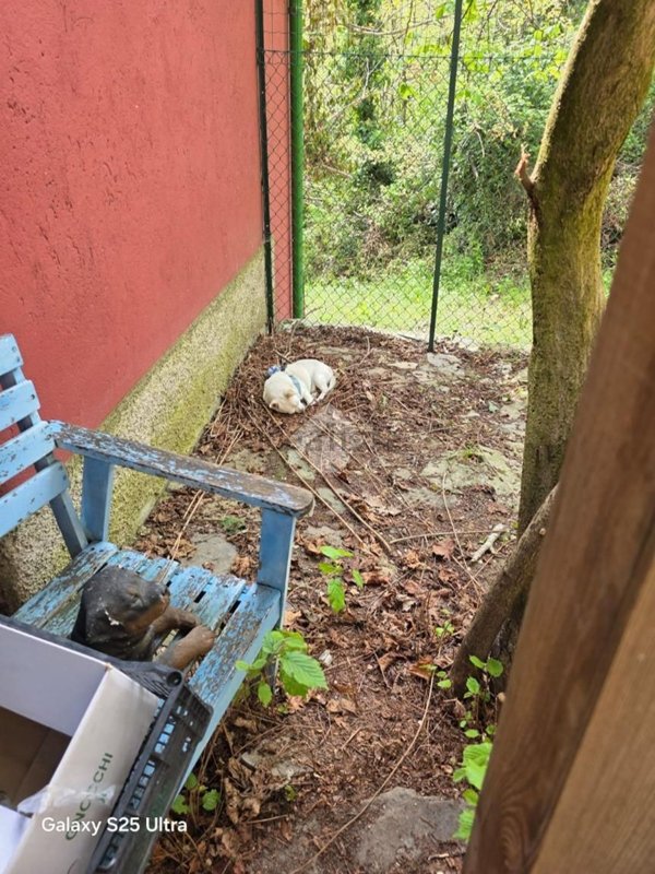 casa indipendente in vendita a Castel d'Aiano in zona Casigno