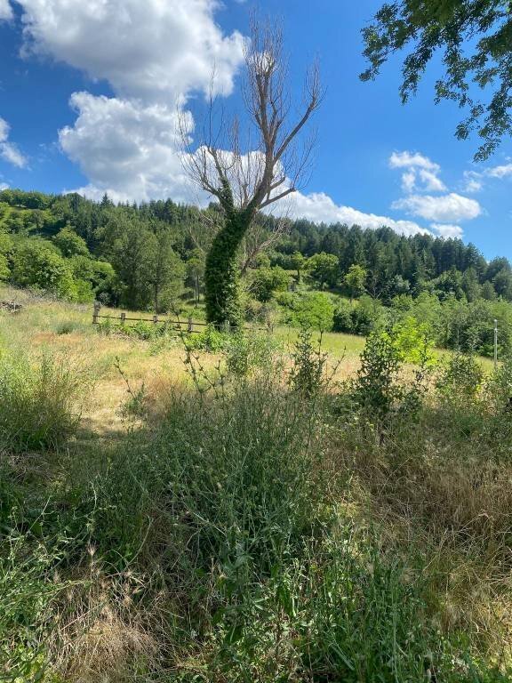 terreno agricolo in vendita a Castel del Rio