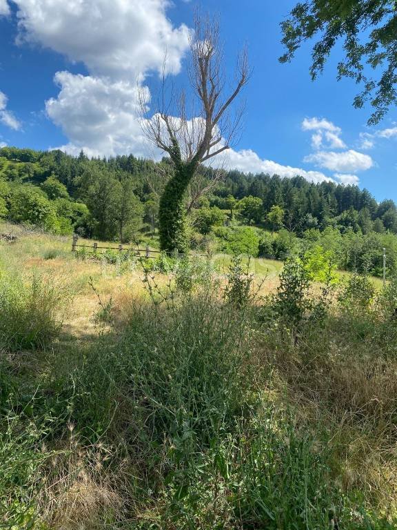 terreno agricolo in vendita a Castel del Rio