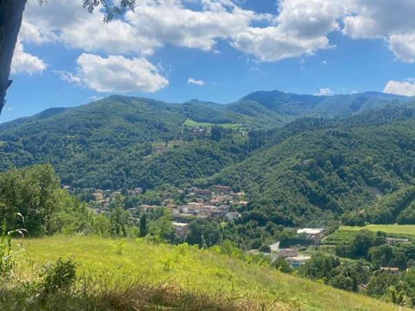 terreno agricolo in vendita a Castel del Rio
