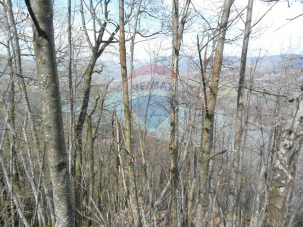 terreno agricolo in vendita a Castel di Casio in zona Badi