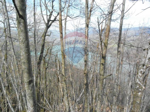 terreno agricolo in vendita a Castel di Casio in zona Badi
