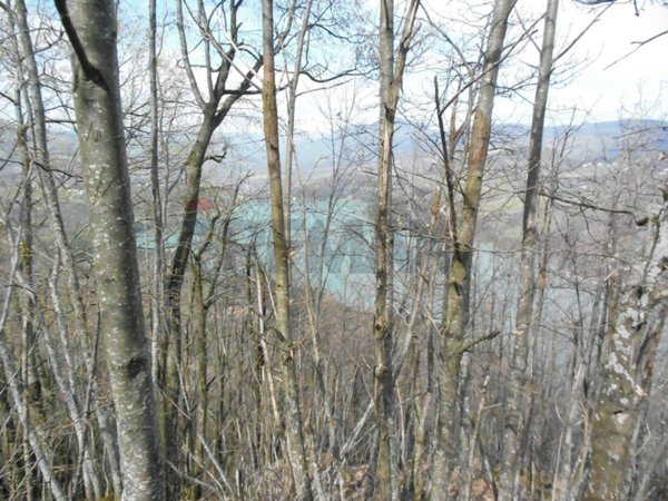 terreno agricolo in vendita a Castel di Casio in zona Badi