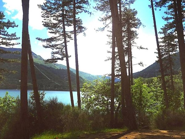 appartamento in vendita a Castel di Casio in zona Suviana