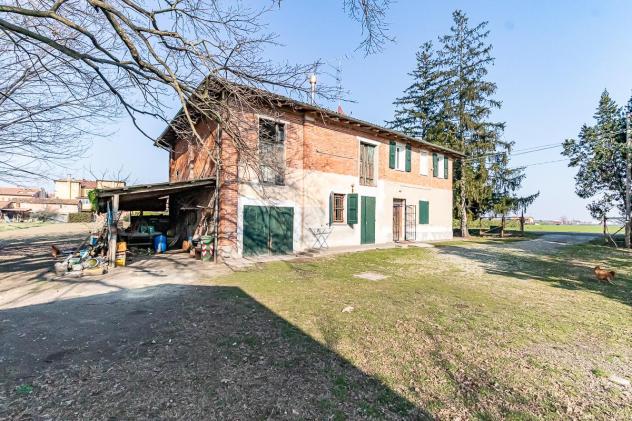esavano in vendita a Castel Guelfo di Bologna