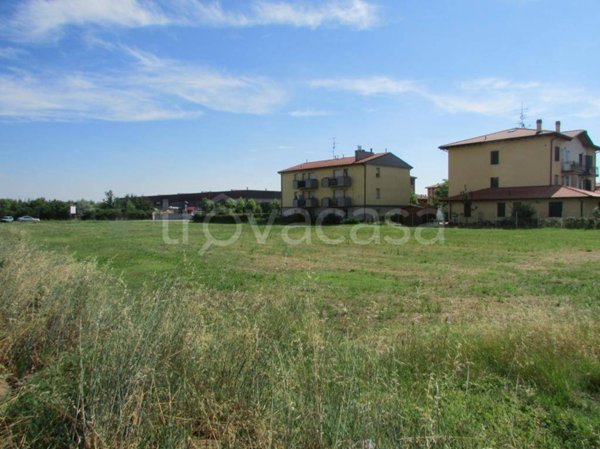 terreno agricolo in vendita a Castello d'Argile