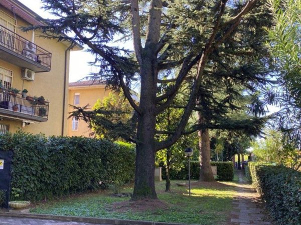 appartamento in vendita a Castel Maggiore