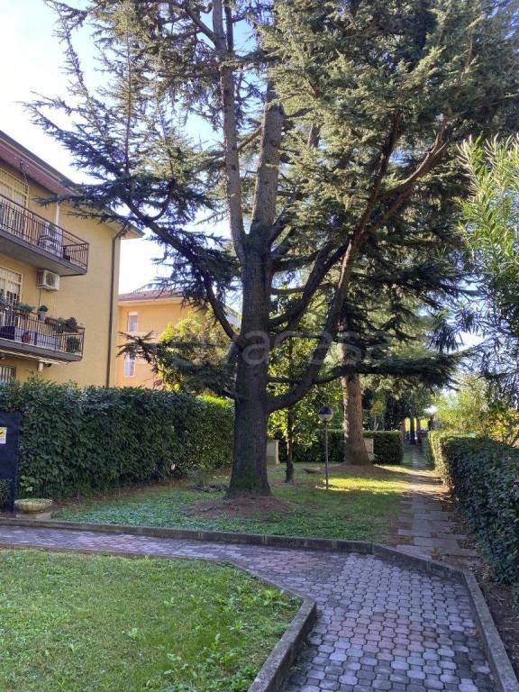 appartamento in vendita a Castel Maggiore