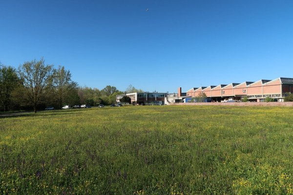 terreno edificabile in vendita a Castel Maggiore