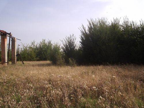 casa indipendente in vendita a Castel San Pietro Terme in zona Varignana