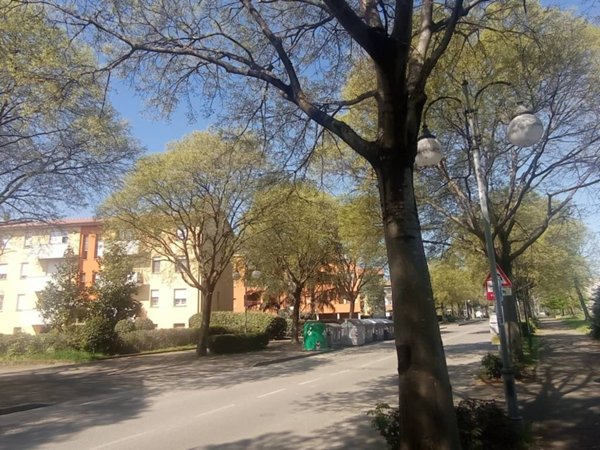 appartamento in vendita a Castel San Pietro Terme