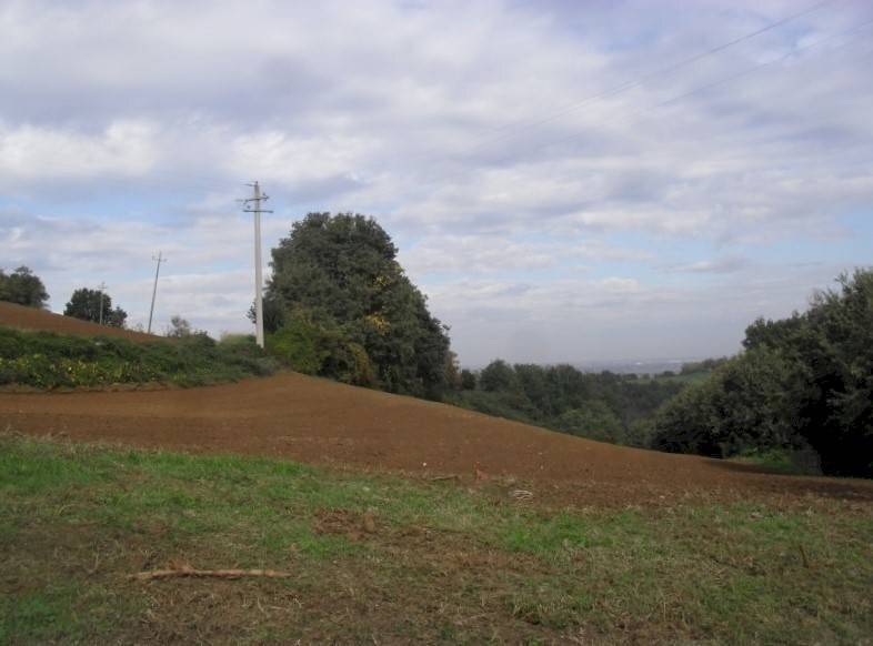 terreno agricolo in vendita a Castel San Pietro Terme