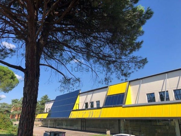 appartamento in vendita a Castel San Pietro Terme in zona Osteria Grande