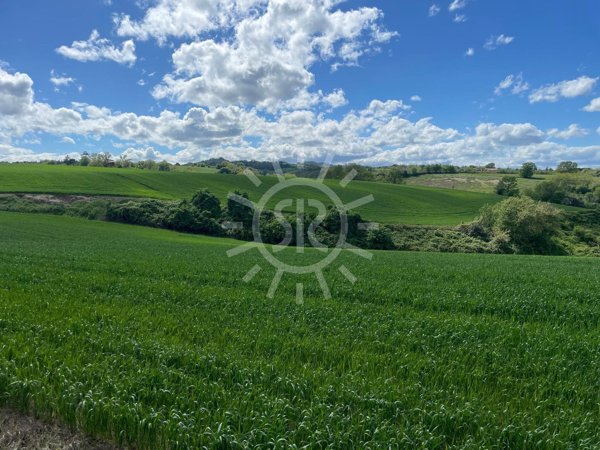 terreno agricolo in vendita a Castel San Pietro Terme