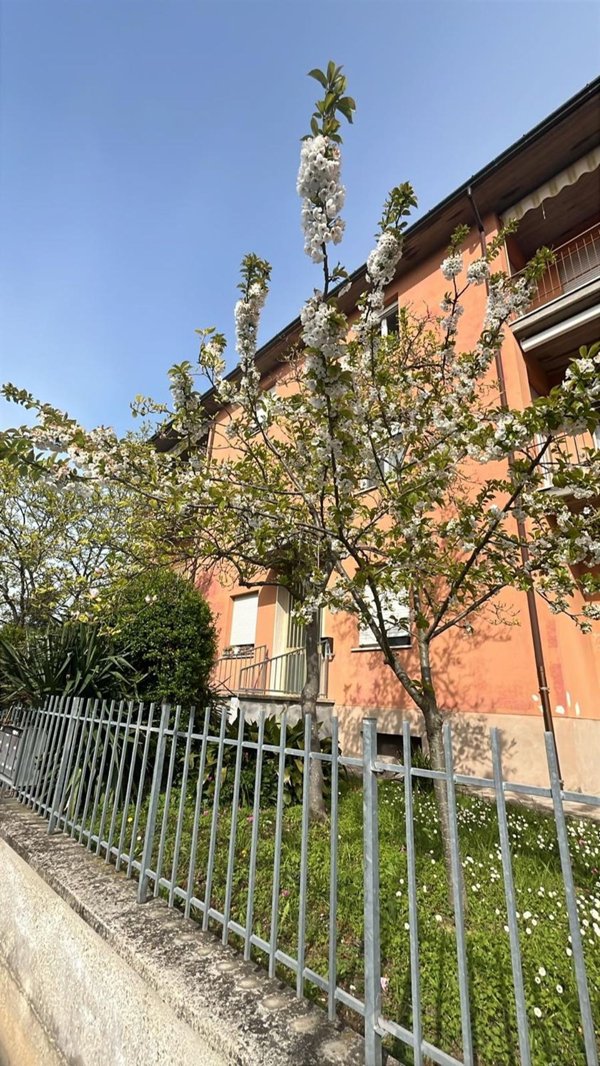 appartamento in vendita a Castel San Pietro Terme