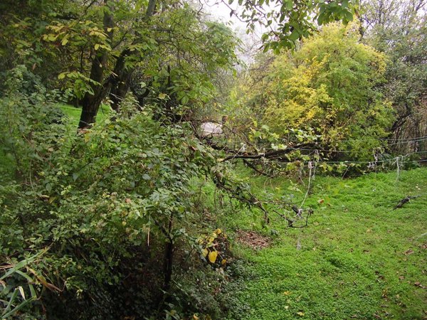 appartamento in vendita a Castel San Pietro Terme