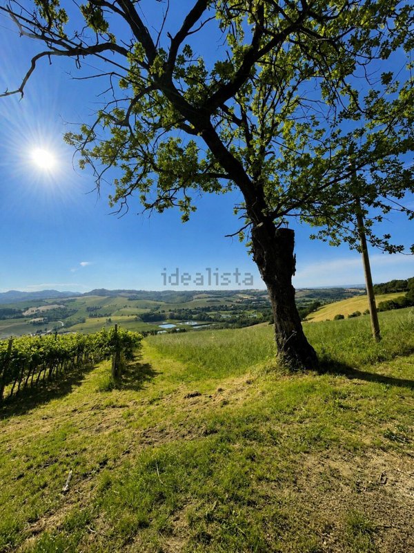 casa indipendente in vendita a Castel San Pietro Terme