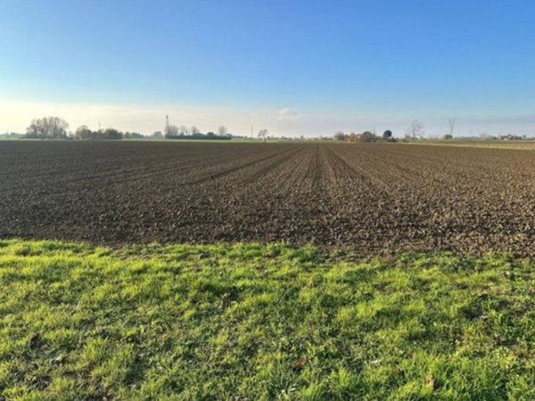 terreno agricolo in vendita a Castenaso