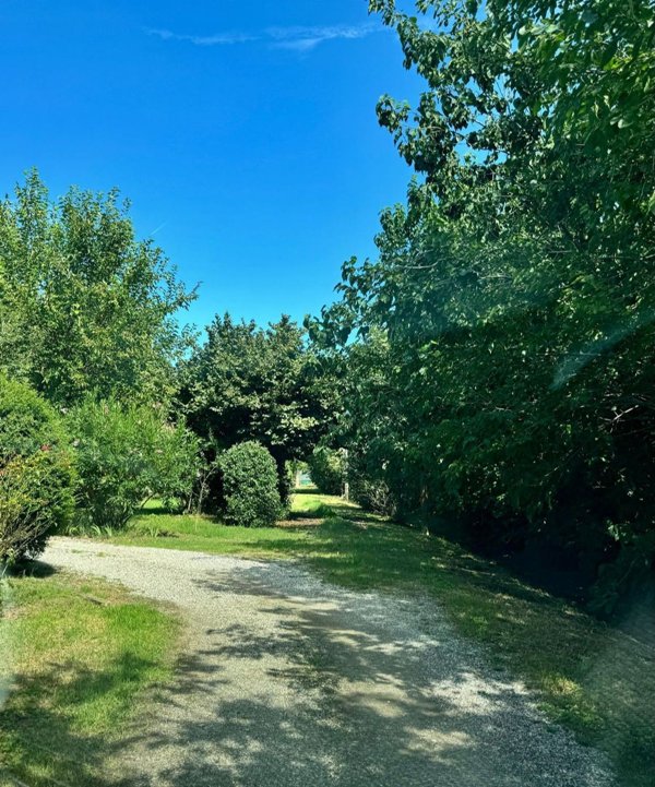 casa indipendente in vendita a Castenaso in zona Fiesso