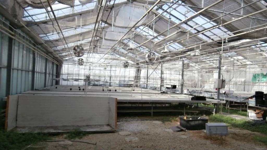 casa indipendente in vendita a Castenaso