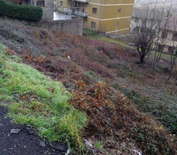 terreno edificabile in vendita a Castiglione dei Pepoli