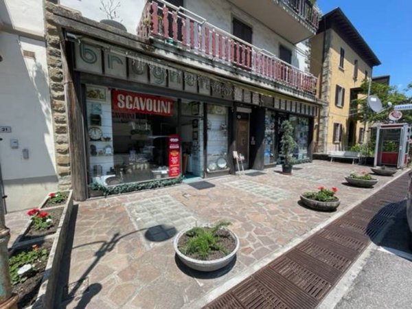 esavano in vendita a Castiglione dei Pepoli