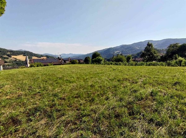 terreno agricolo in vendita a Castiglione dei Pepoli in zona Lagaro