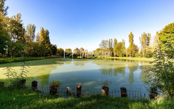 negozio in vendita a Crevalcore