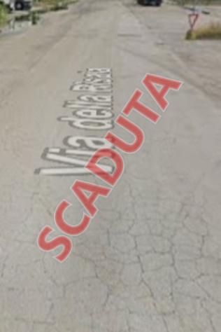 terreno agricolo in vendita a Crevalcore