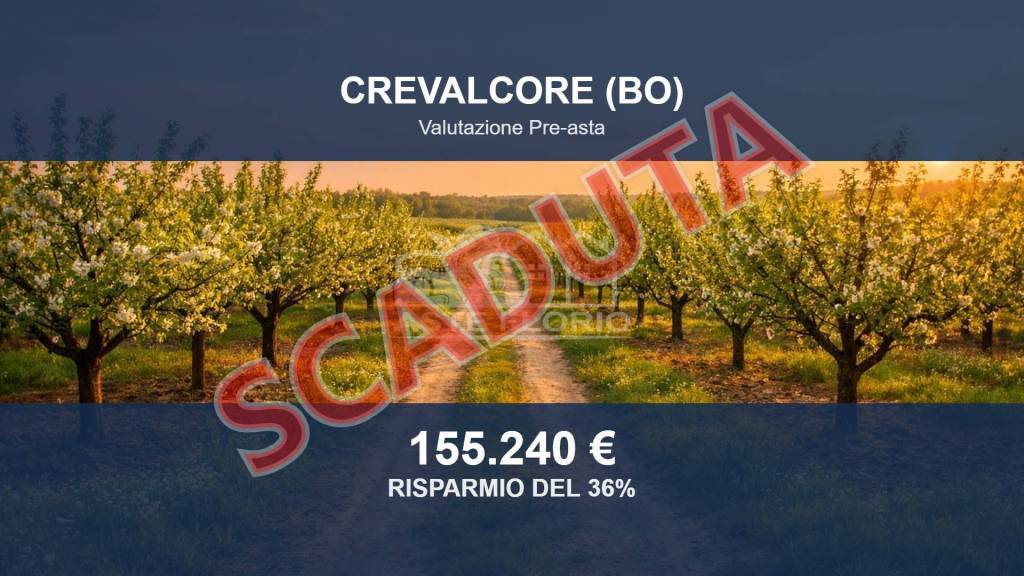 immagine annuncio 0 di 10