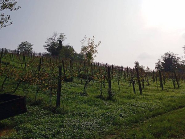 terreno agricolo in vendita a Dozza in zona Toscanella
