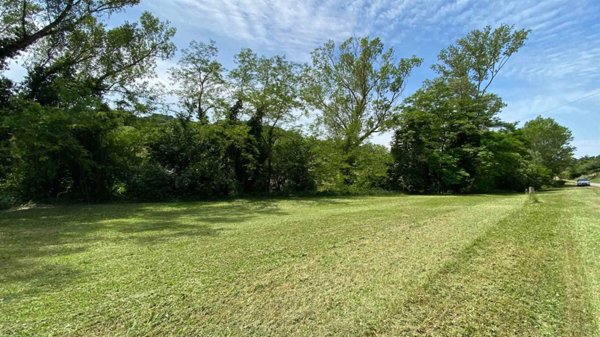 terreno agricolo in vendita a Dozza