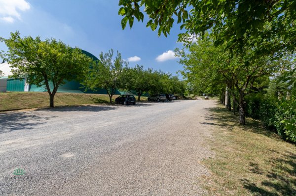 negozio in vendita a Dozza