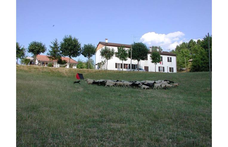 casa indipendente in vendita a Gaggio Montano in zona Bombiana