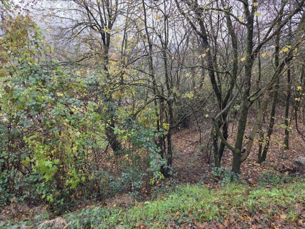 negozio in vendita a Gaggio Montano in zona Marano